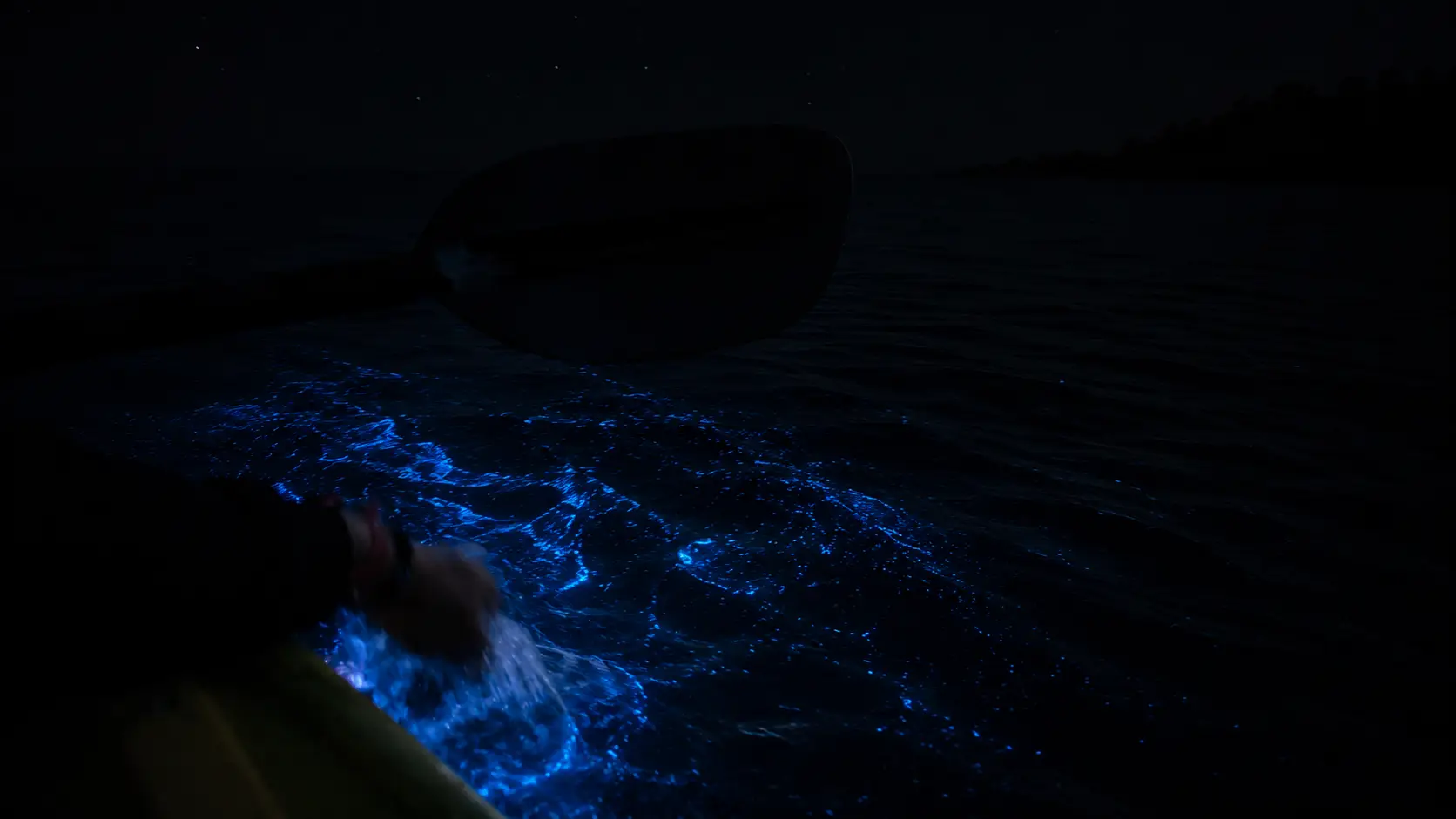 Bioluminescence kayaking on Havelock Island, Andaman, photo 13